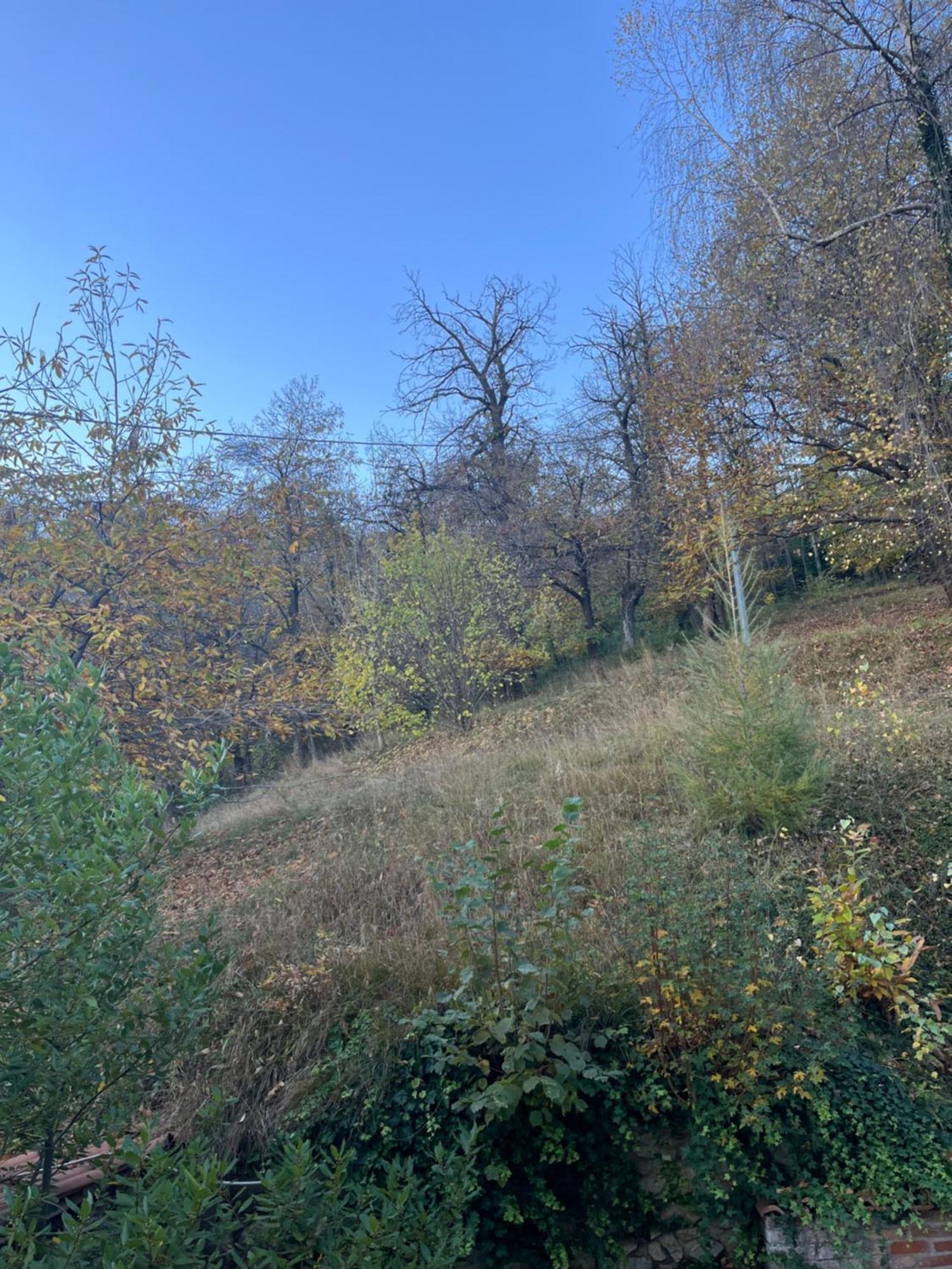 Il Bosco Incantato Borgo San Dalmazzo Eksteriør billede